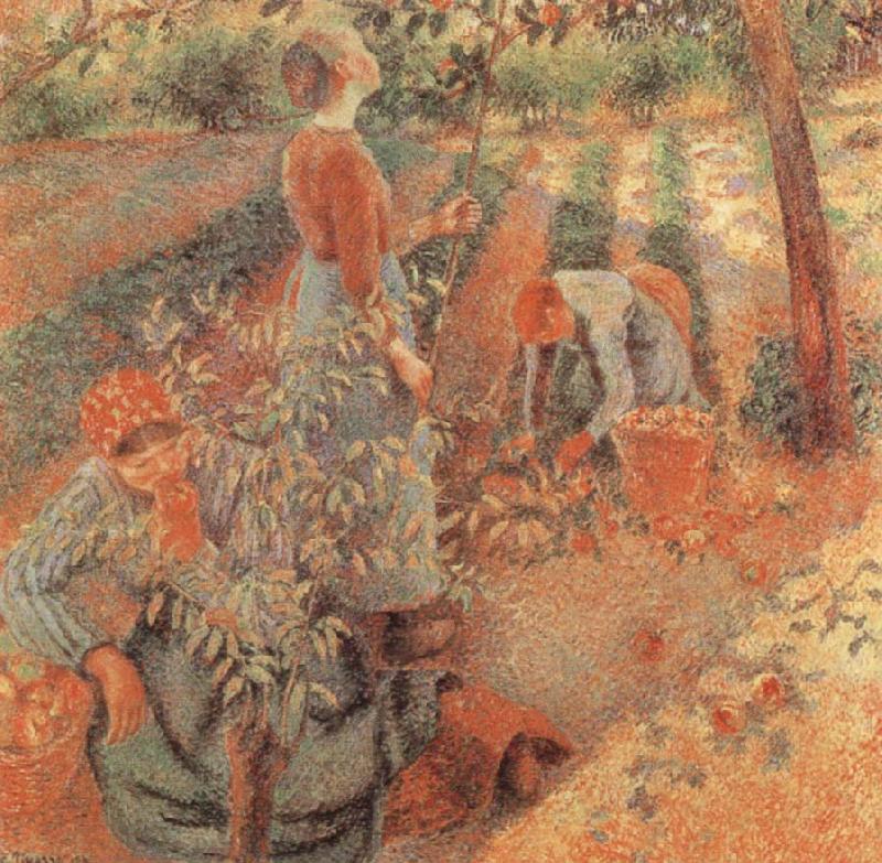 Camille Pissarro Apple picking Sweden oil painting art